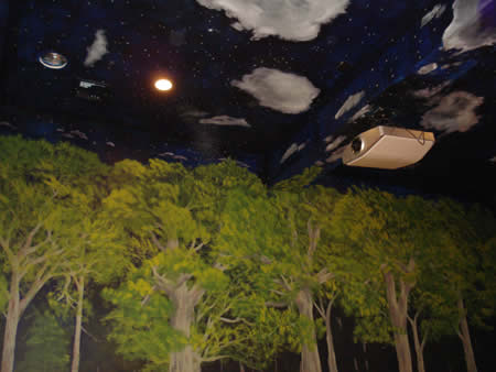 Night sky/trees . Drive in theatre themed screening room.